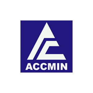 Accmin Consulting and Services